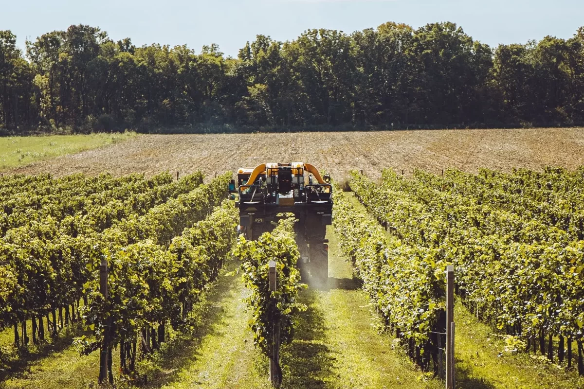 Dal Degan - soluzioni per agricoltura e giardinaggio (20)